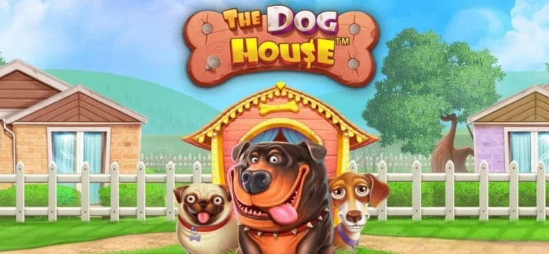 The Dog House