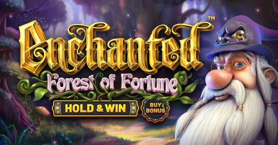 Enchanted: Forest of Fortune